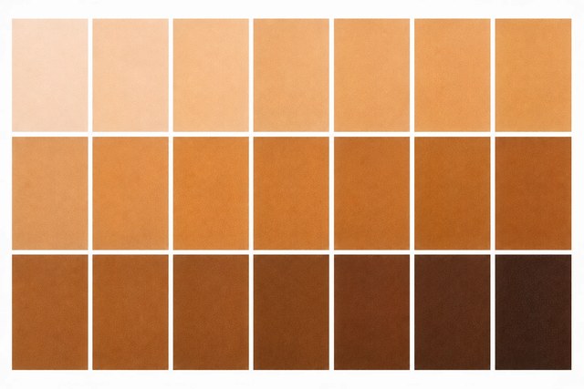 Warm undertone examples across a full range of skin depths