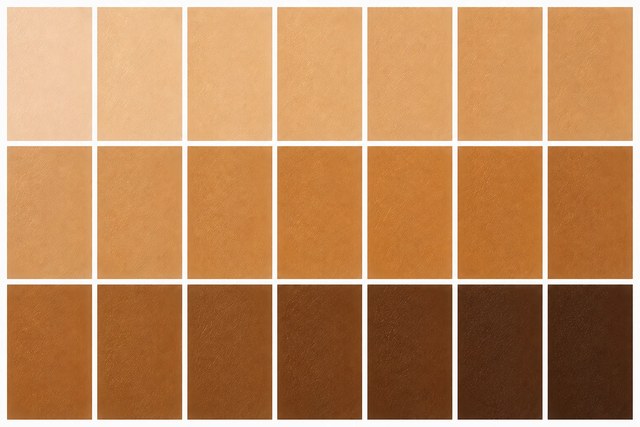 Warm Neutral undertone examples across a full range of skin depths